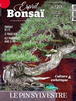 Esprit Bonsai